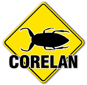 www.corelan.be
