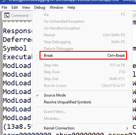 windbg-break